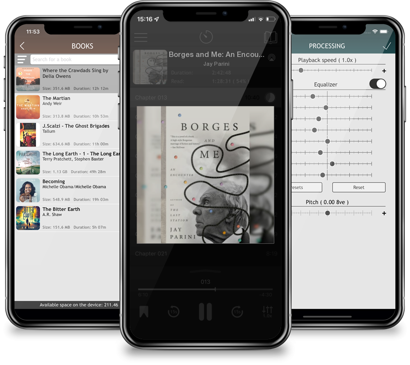 Audiobook Borges and Me: An Encounter by Jay Parini