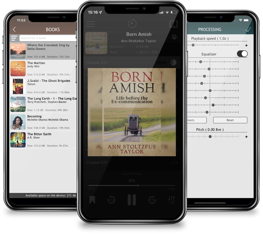 Listen Born Amish by Ann Stoltzfus Taylor in MP3 Audiobook Player for free