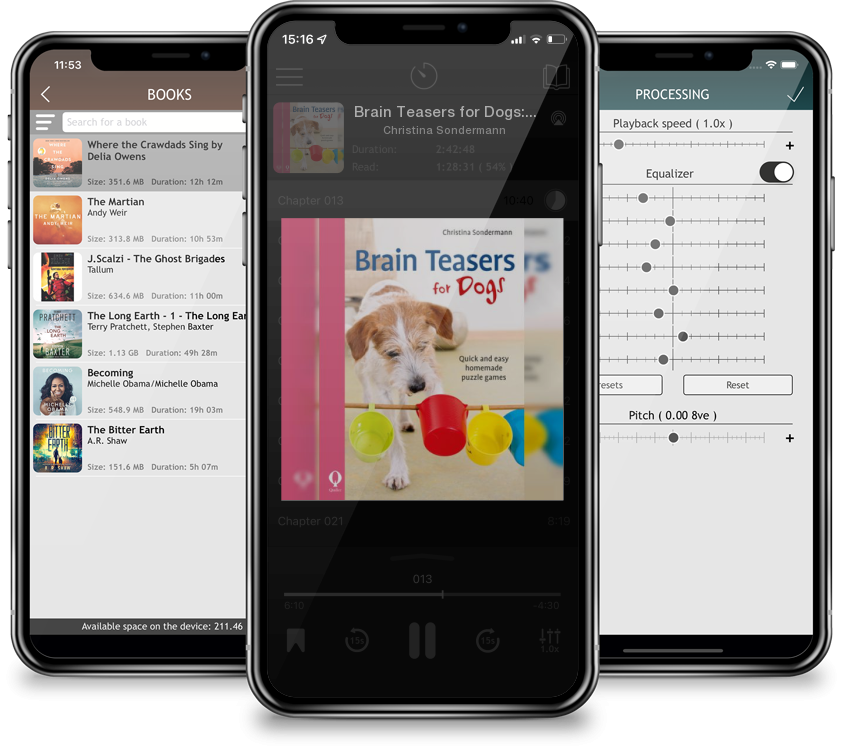 Audiobook Brain Teasers for Dogs: Quick and Easy Homemade Puzzle Games by Christina Sondermann