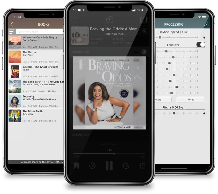 Audiobook Braving the Odds: A Memoir on Perseverance, Finance and Faith by Mizinga Melu