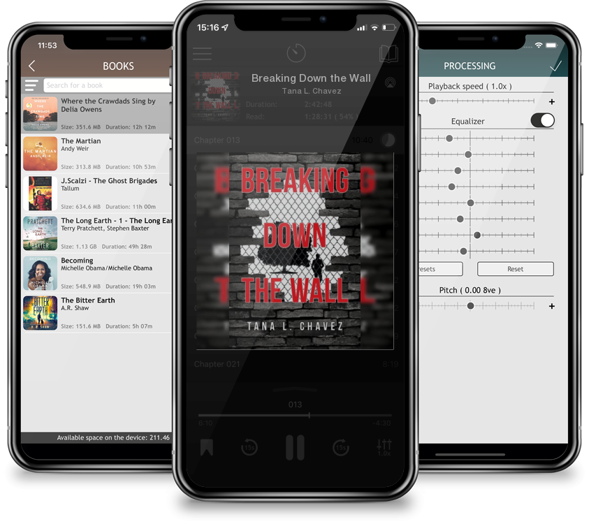 Audiobook Breaking Down the Wall by Tana L. Chavez