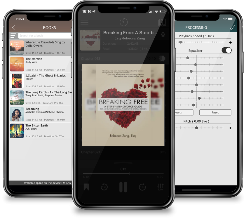 Audiobook Breaking Free: A Step-by-Step Divorce Guide to Achieving Emotional, Physical & Spiritual Freedom by Esq Rebecca Zung