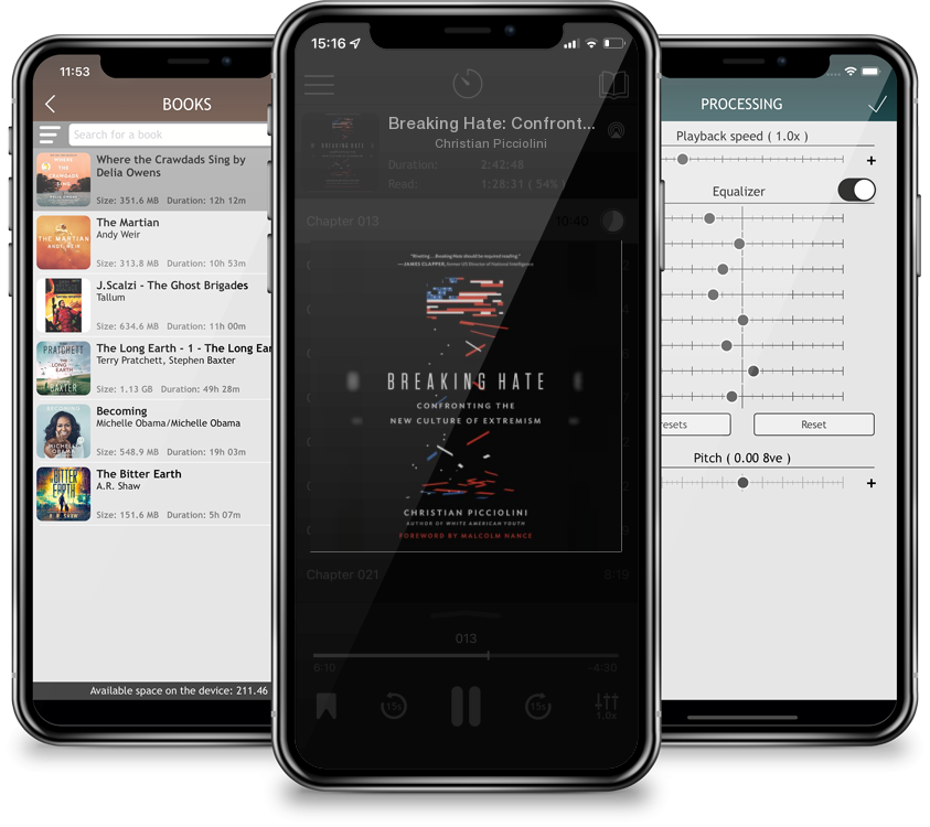 Audiobook Breaking Hate: Confronting the New Culture of Extremism by Christian Picciolini