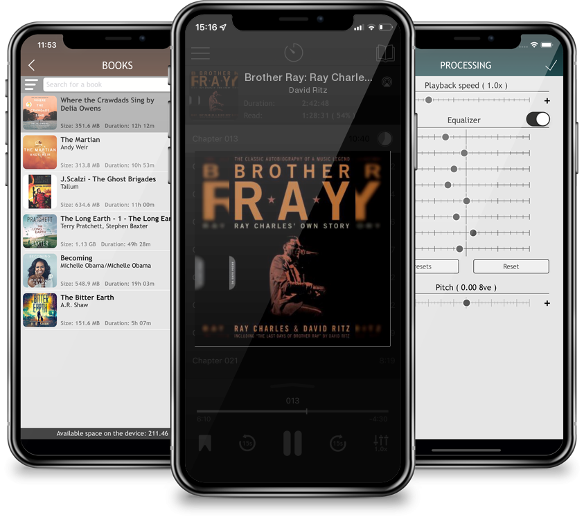 Audiobook Brother Ray: Ray Charles\' Own Story by David Ritz