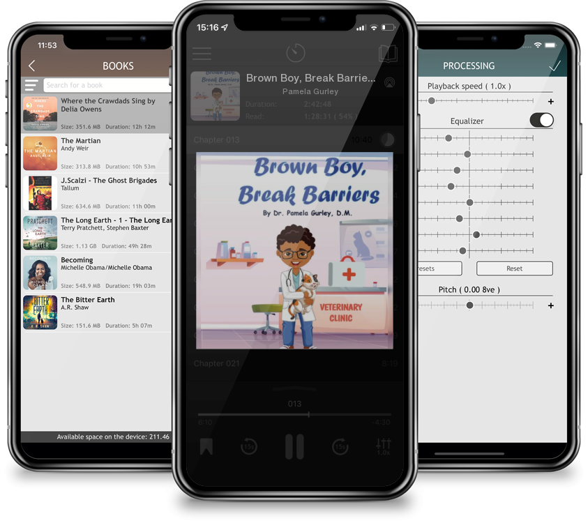 Audiobook Brown Boy, Break Barriers by Pamela Gurley