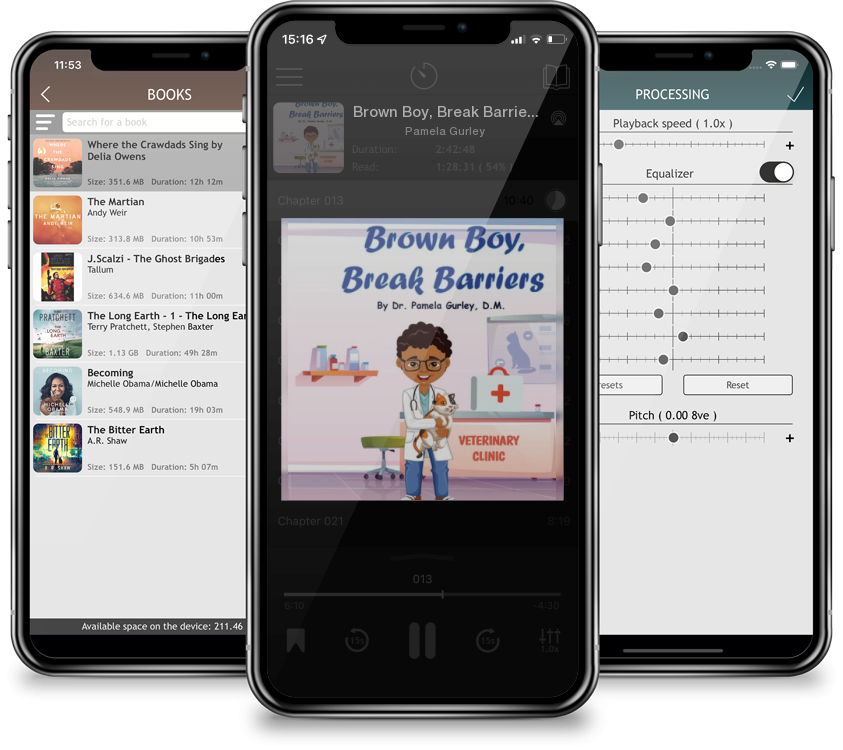 Listen Brown Boy, Break Barriers by Pamela Gurley in MP3 Audiobook Player for free