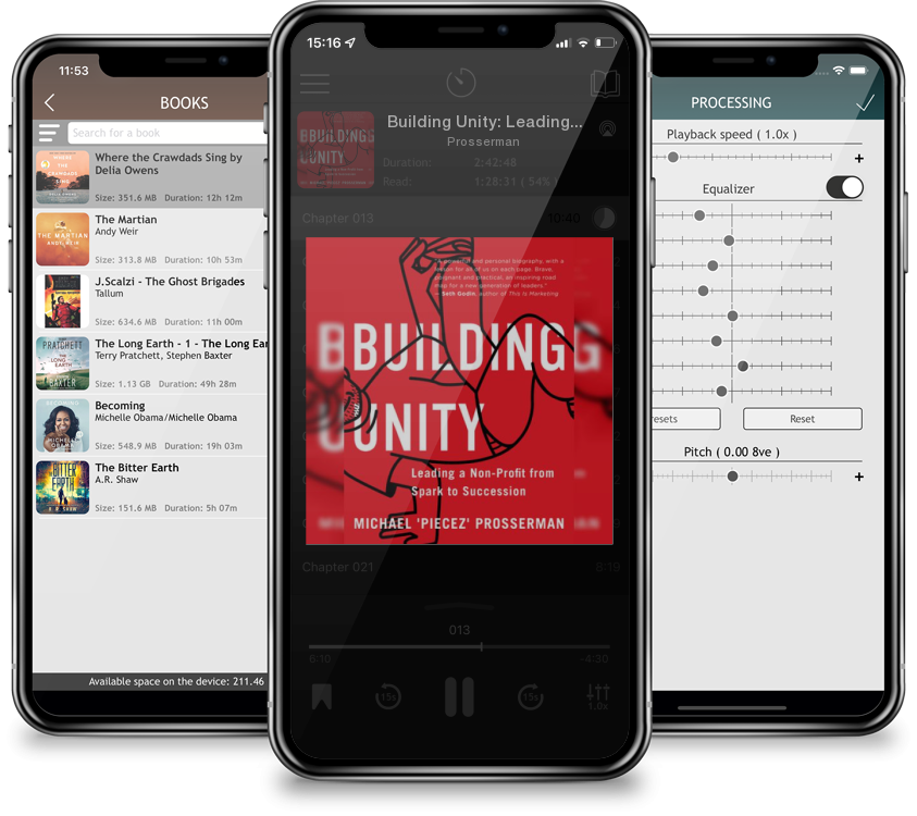 Audiobook Building Unity: Leading a Non-Profit from Spark to Succession by Prosserman
