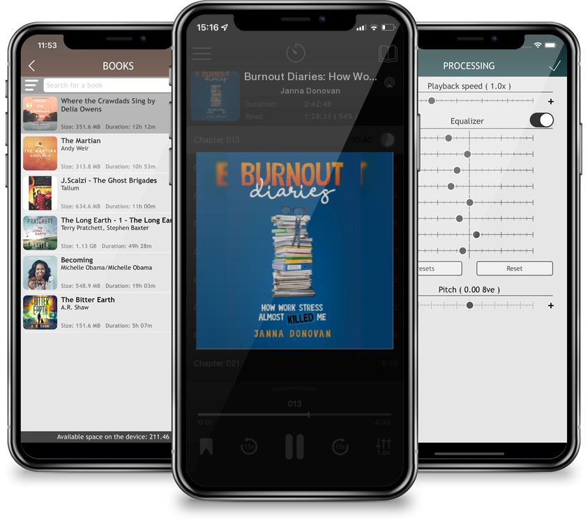 Audiobook Burnout Diaries: How Work Stress Almost Killed Me by Janna Donovan