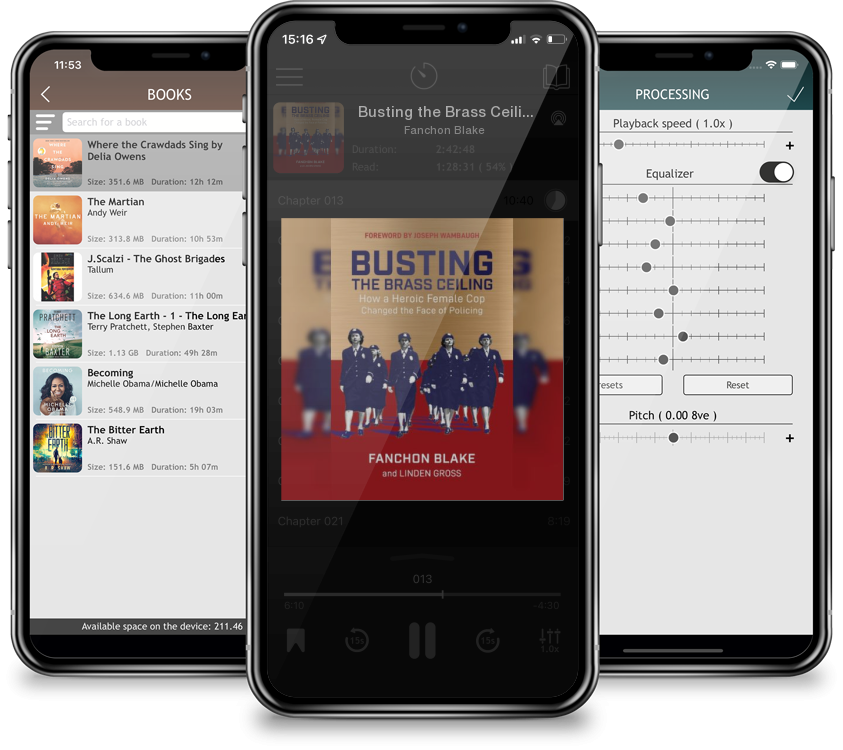Audiobook Busting the Brass Ceiling by Fanchon Blake