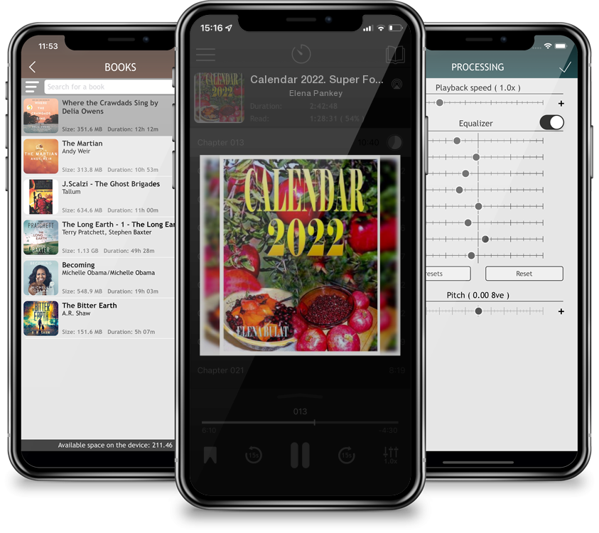 Audiobook Calendar 2022. Super Food. Fruits. Berries by Elena Pankey