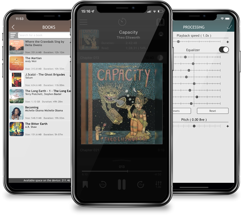 Audiobook Capacity by Theo Ellsworth