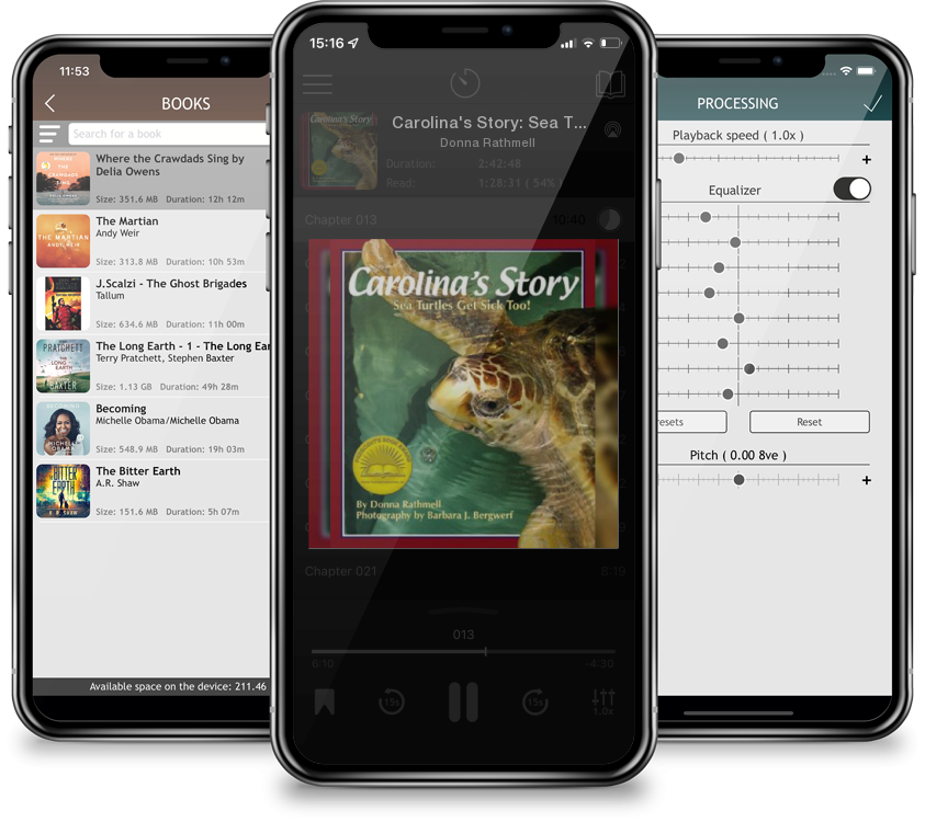 Audiobook Carolina\'s Story: Sea Turtles Get Sick Too by Donna Rathmell