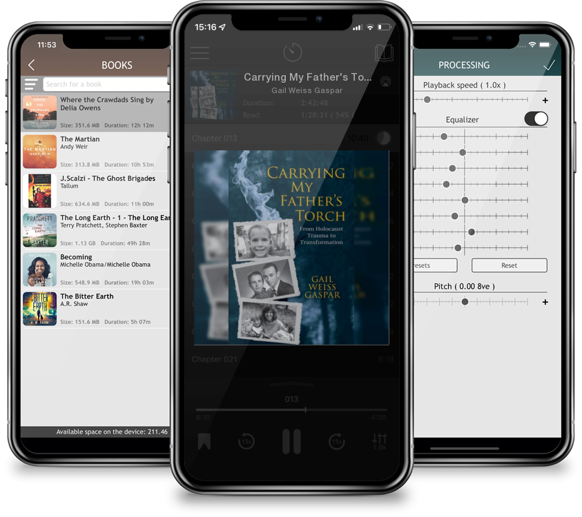 Audiobook Carrying My Father\'s Torch: From Holocaust Trauma to Transformation by Gail Weiss Gaspar