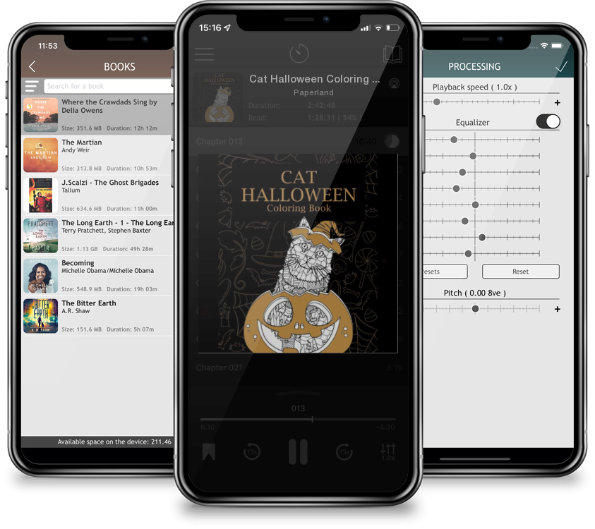 Audiobook Cat Halloween Coloring Book by Paperland