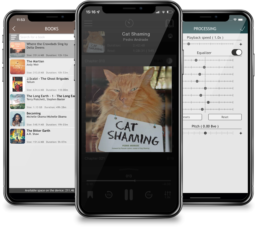 Audiobook Cat Shaming by Pedro Andrade