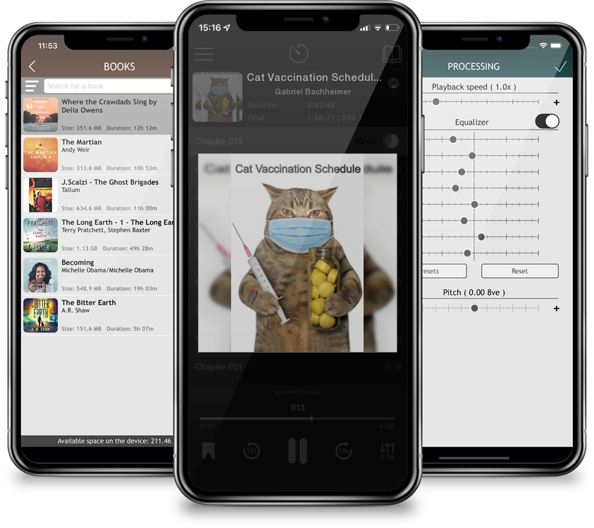 Audiobook Cat Vaccination Schedule by Gabriel Bachheimer