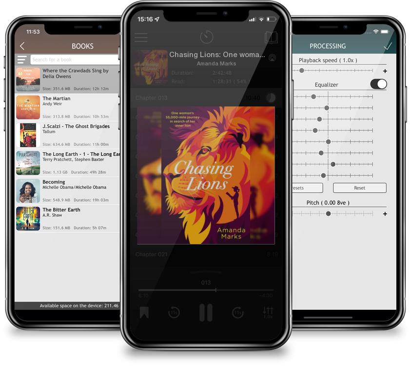 Audiobook Chasing Lions: One woman\'s 55,000-mile journey in search of her inner lion by Amanda Marks