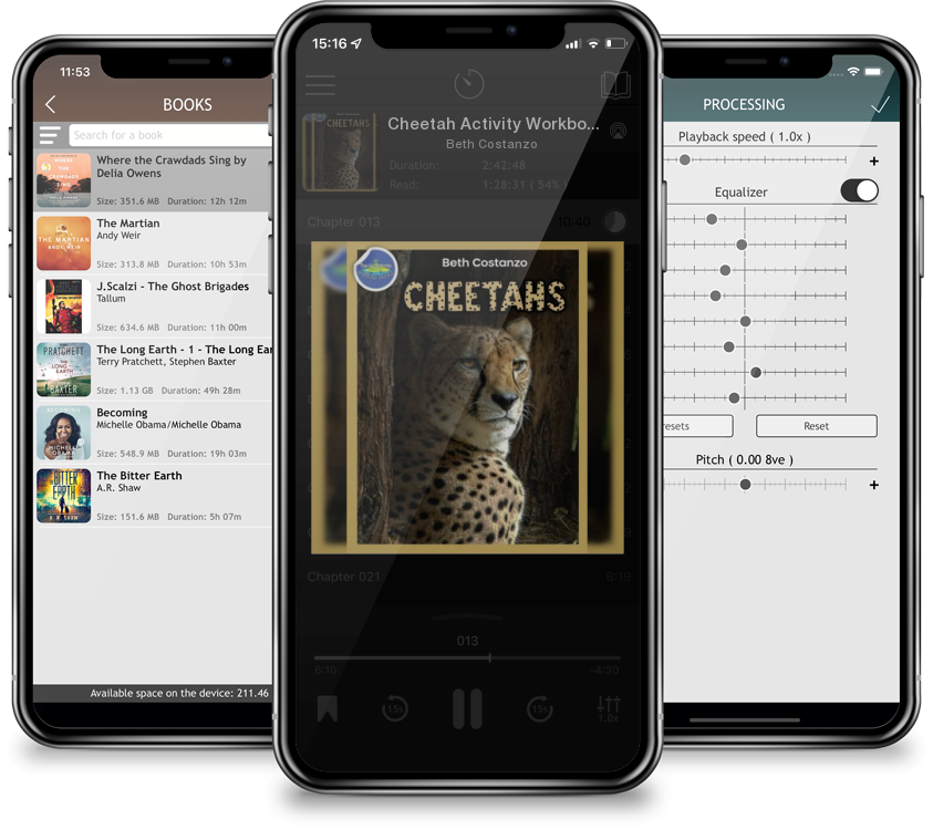 Audiobook Cheetah Activity Workbook ages 4-8 by Beth Costanzo