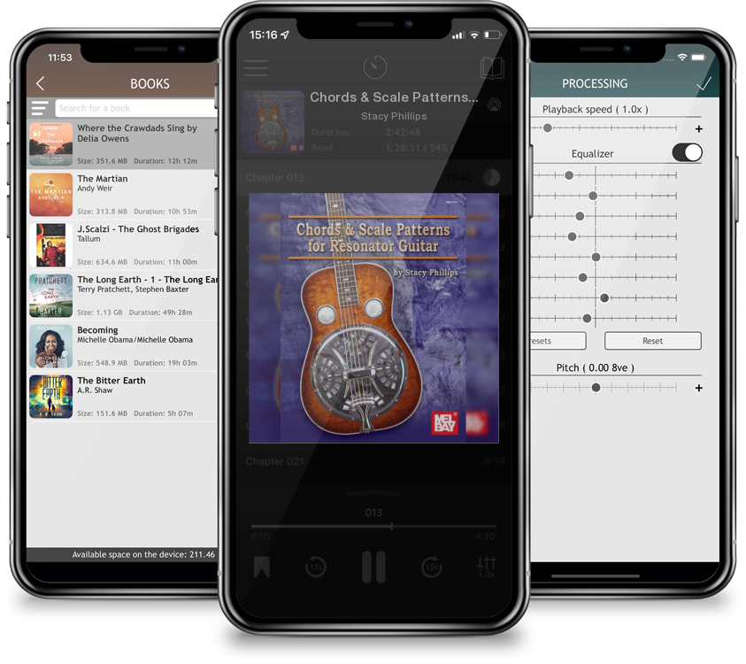 Audiobook Chords & Scale Patterns for Resonator Guitar by Stacy Phillips