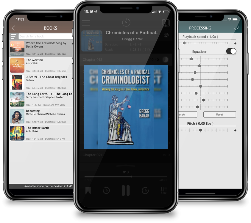 Audiobook Chronicles of a Radical Criminologist: Working the Margins of Law, Power, and Justice (Critical Issues in Crime and Society) by Gregg Barak