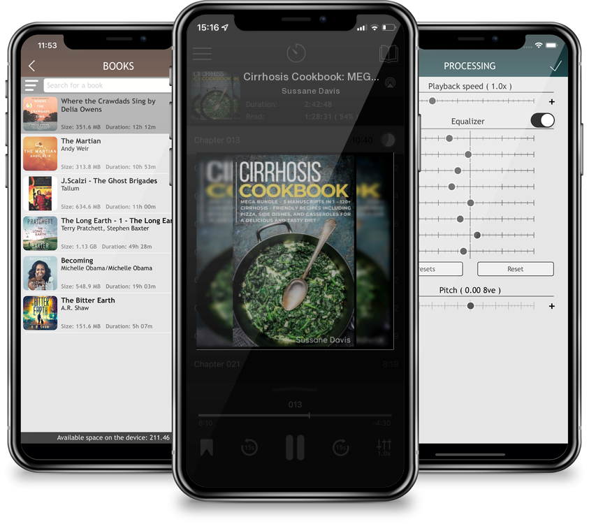 Audiobook Cirrhosis Cookbook: MEGA BUNDLE - 3 Manuscripts in 1 - 120+ Cirrhosis - friendly recipes including Pizza, Salad, and Casseroles for a deli by Sussane Davis