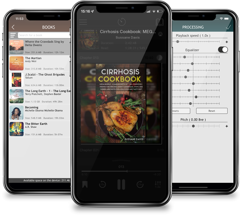 Audiobook Cirrhosis Cookbook: MEGA BUNDLE - 4 Manuscripts in 1 - 160+ Cirrhosis - friendly recipes including casseroles, stew, side dishes, and past by Sussane Davis