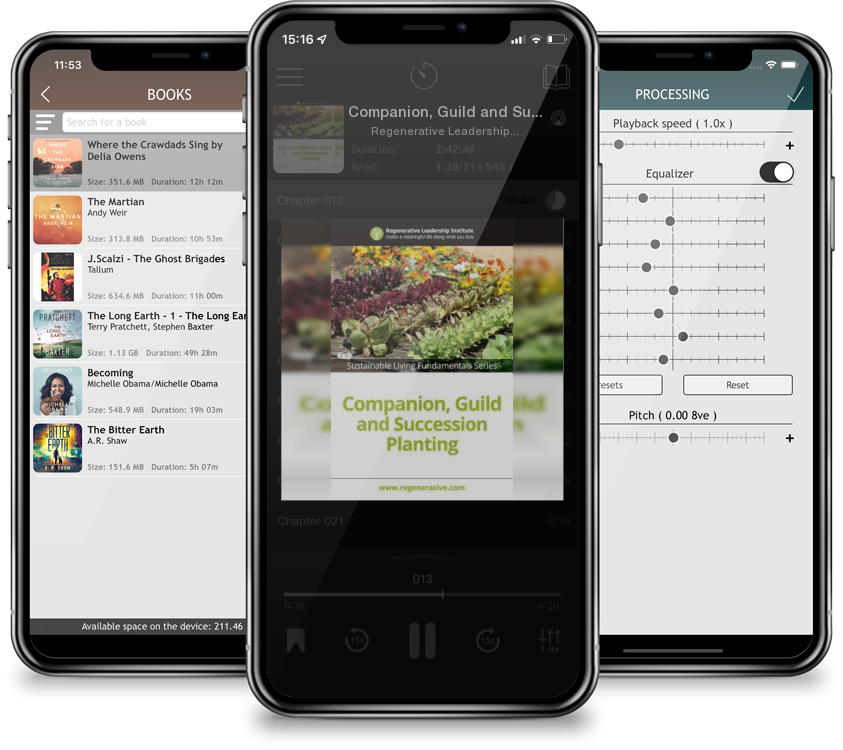 Audiobook Companion, Guild and Succession Planting by Regenerative Leadership Institute