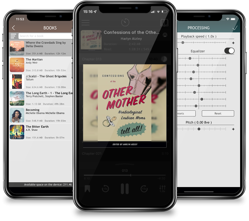 Audiobook Confessions of the Other Mother: Nonbiological Lesbian Moms Tell All! by Harlyn Aizley