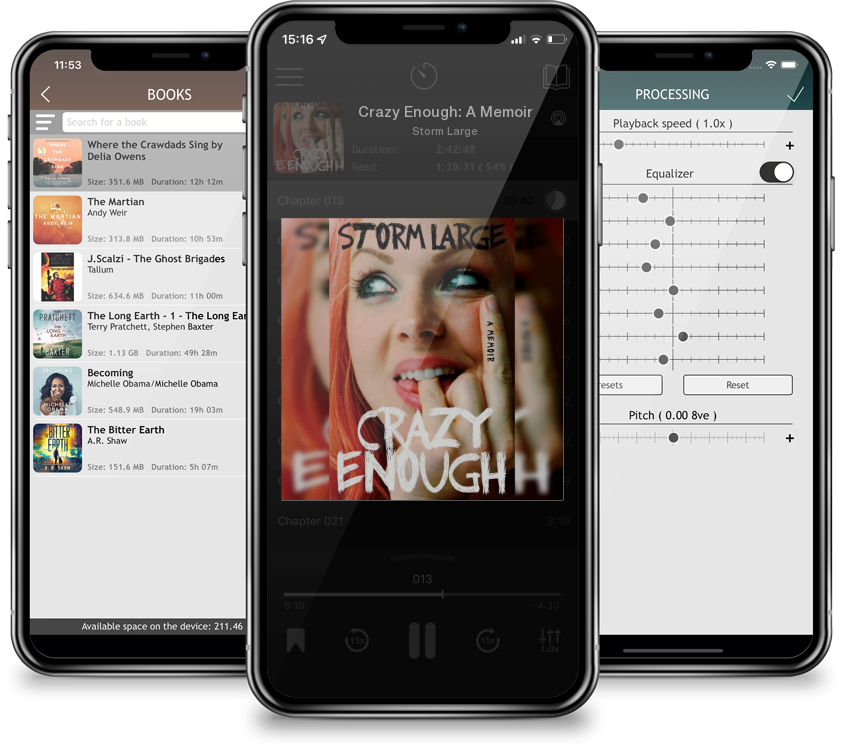 Audiobook Crazy Enough: A Memoir by Storm Large