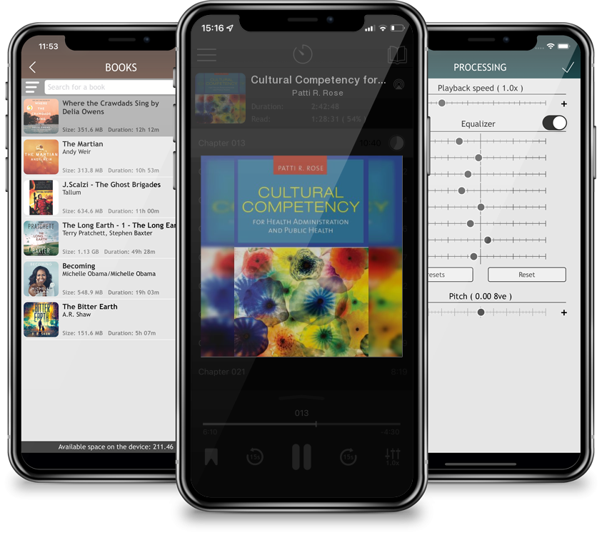Audiobook Cultural Competency for Health Administration and Public Health by Patti R. Rose