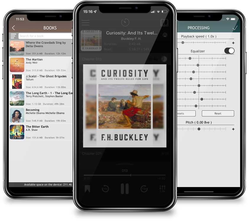 Audiobook Curiosity: And Its Twelve Rules for Life by Buckley F. H.