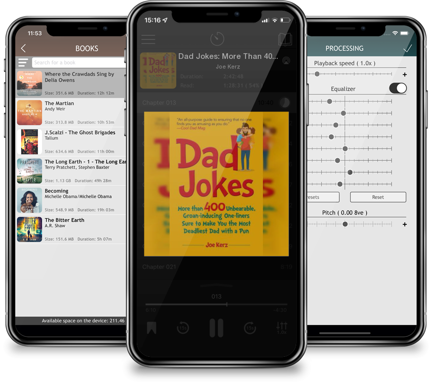 Audiobook Dad Jokes: More Than 400 Unbearable, Groan-Inducing One-Liners Sure to Make You the Deadliest Dad With a Pun by Joe Kerz