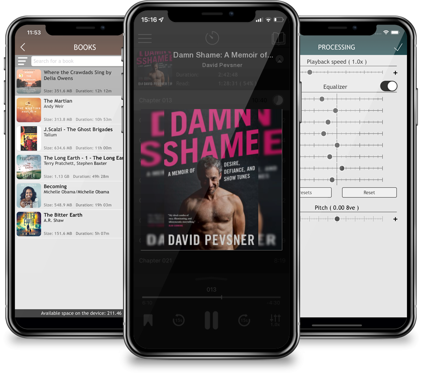 Audiobook Damn Shame: A Memoir of Desire, Defiance, and Show Tunes by David Pevsner