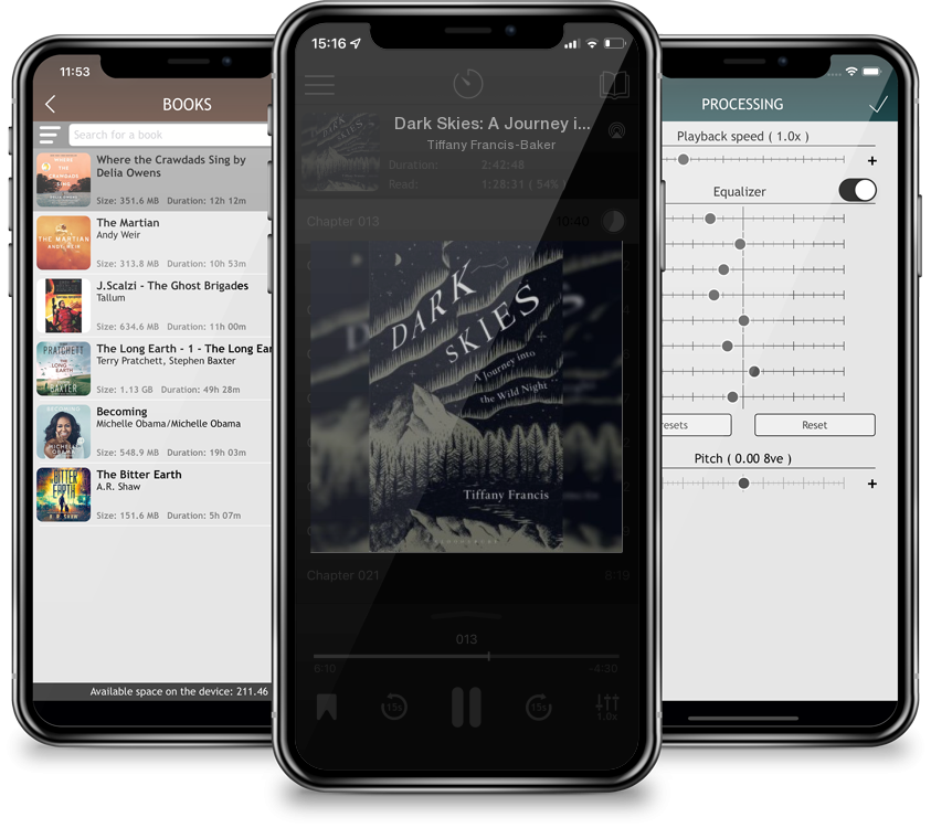 Audiobook Dark Skies: A Journey into the Wild Night by Tiffany Francis-Baker