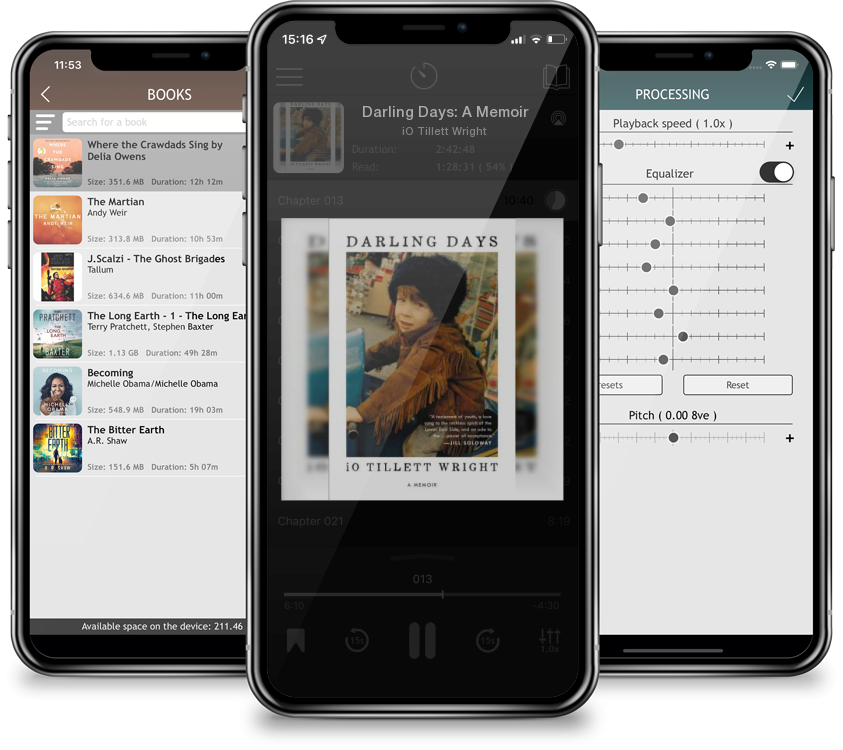 Audiobook Darling Days: A Memoir by iO Tillett Wright