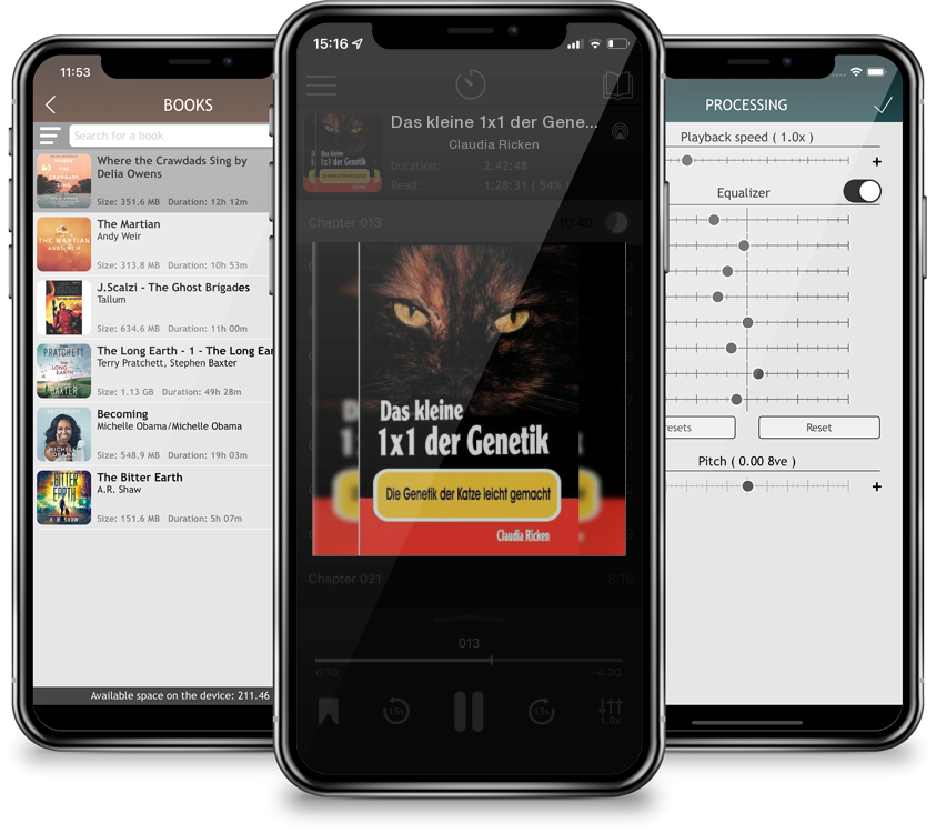 Audiobook Das kleine 1x1 der Genetik: Die Genetik der Katze leicht gemacht by Claudia Ricken