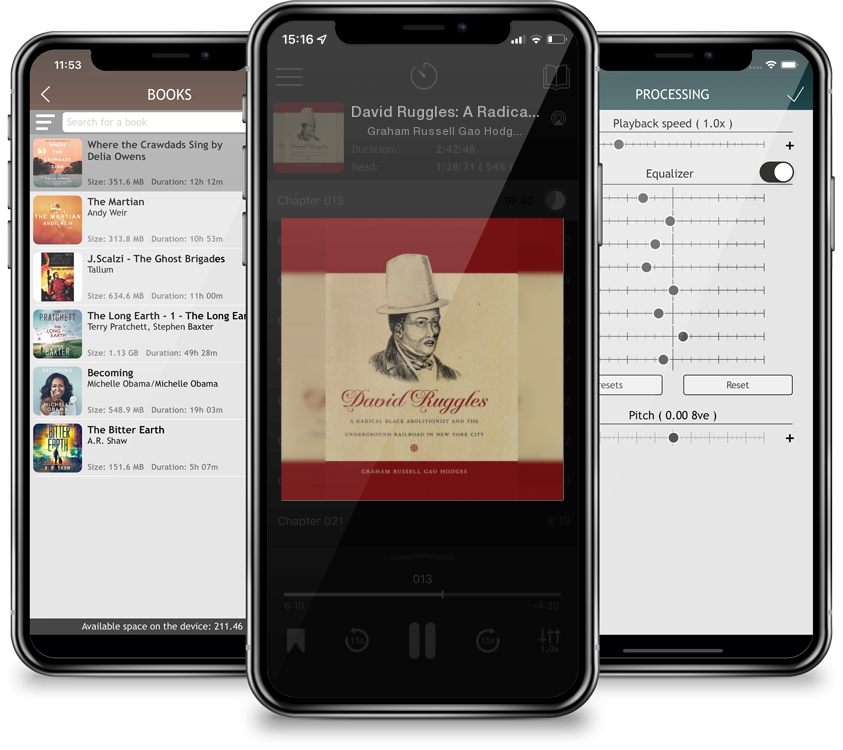 Audiobook David Ruggles: A Radical Black Abolitionist and the Underground Railroad in New York City by Graham Russell Gao Hodges