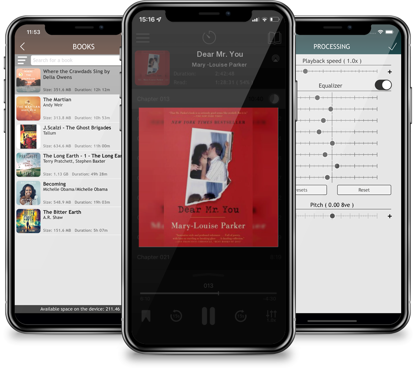 Audiobook Dear Mr. You by Mary -Louise Parker