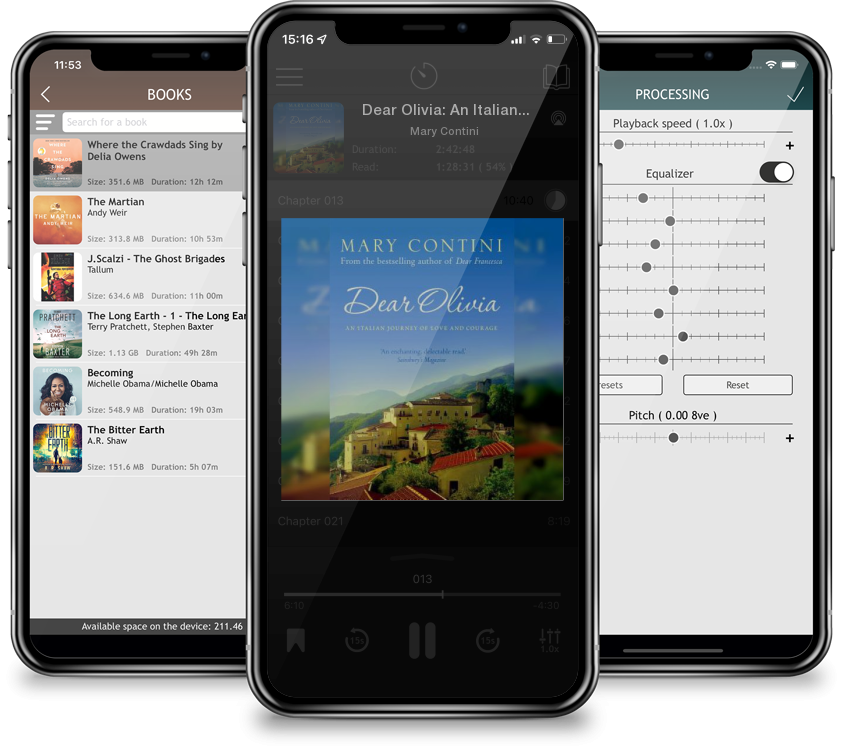 Audiobook Dear Olivia: An Italian Journey of Love and Courage by Mary Contini