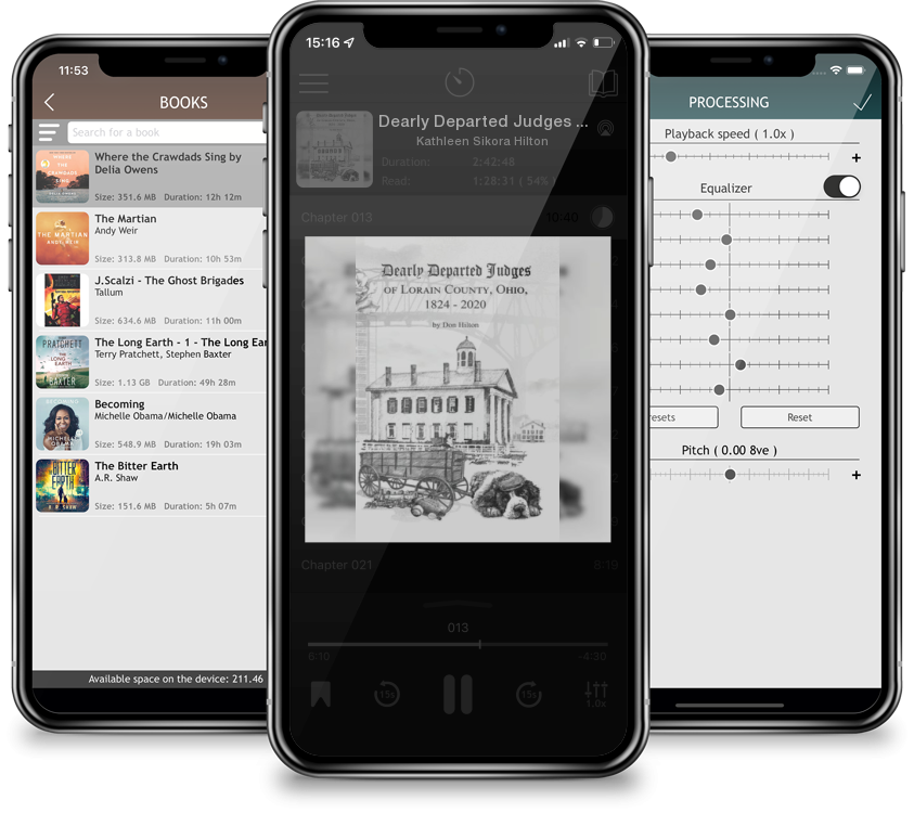 Audiobook Dearly Departed Judges of Lorain County, Ohio, 1824-2020 by Kathleen Sikora Hilton