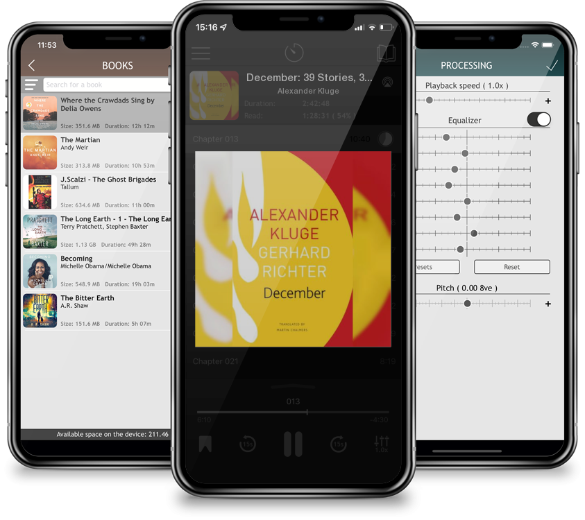 Audiobook December: 39 Stories, 39 Pictures (The Seagull Library of German Literature) by Alexander Kluge