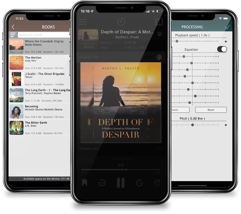 Audiobook Depth of Despair: A Mother\'s Journal on Schizophrenia by Bertha L. Pruitt