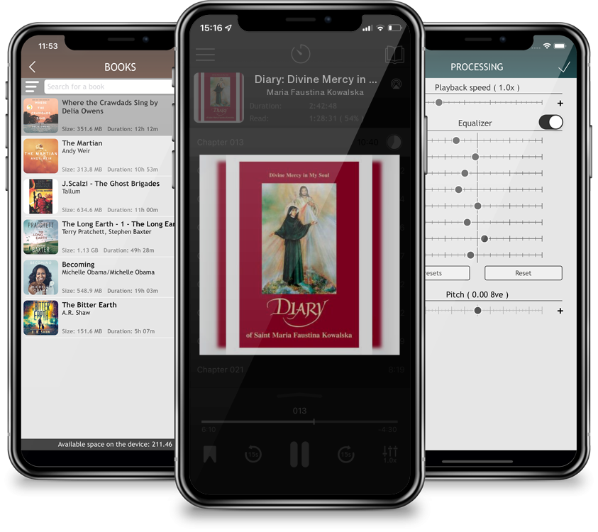 Listen Diary: Divine Mercy in My Soul by Maria Faustina Kowalska in MP3 Audiobook Player for free