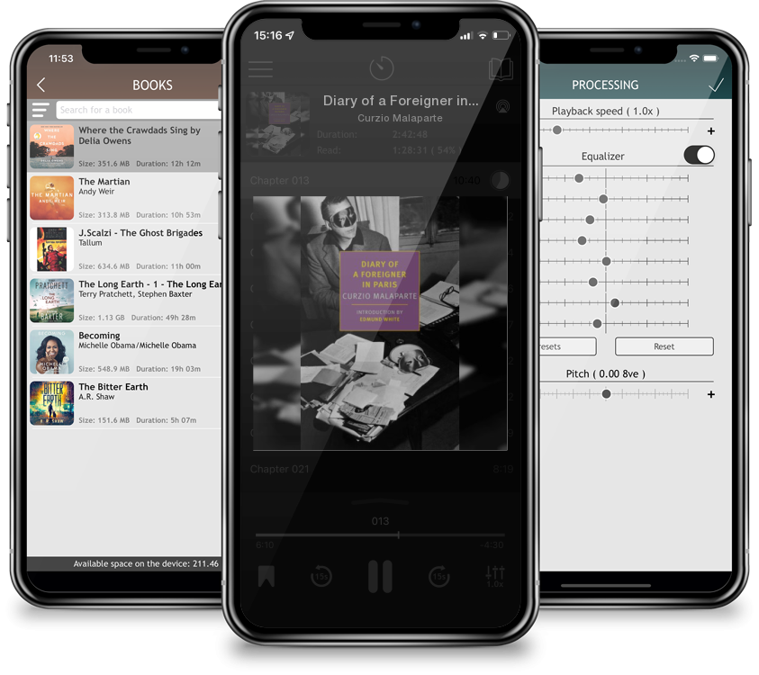 Audiobook Diary of a Foreigner in Paris by Curzio Malaparte