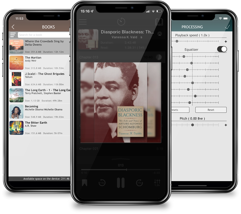 Audiobook Diasporic Blackness: The Life and Times of Arturo Alfonso Schomburg by Vanessa K. Valdés