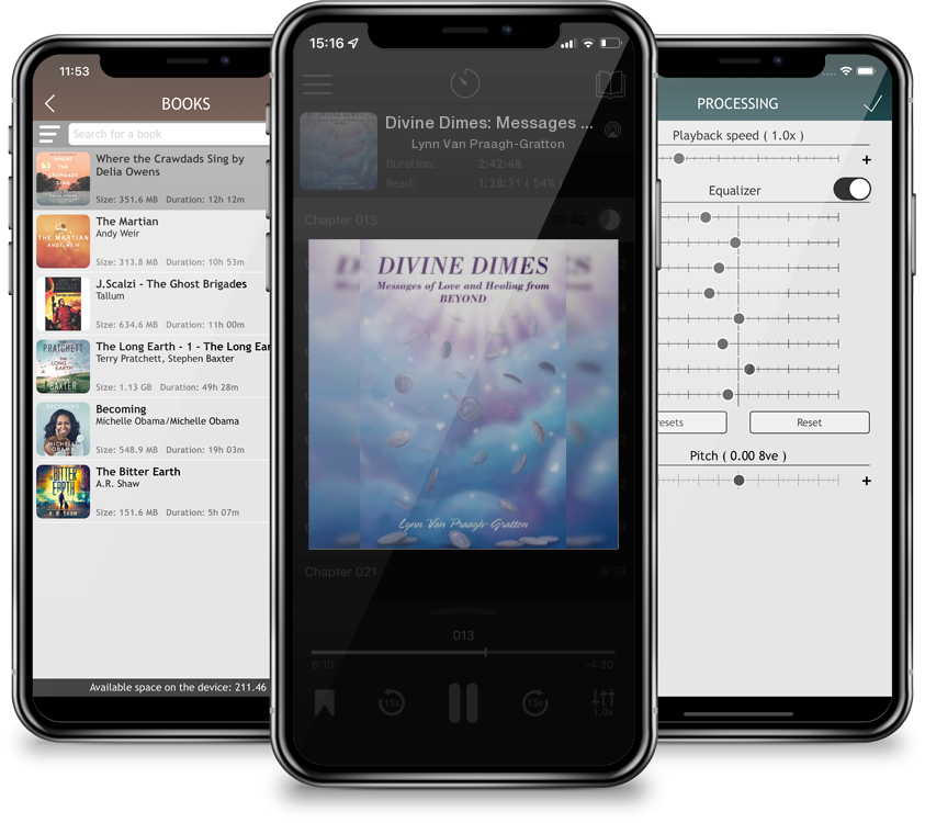 Audiobook Divine Dimes: Messages of Love and Healing from BEYOND by Lynn Van Praagh-Gratton