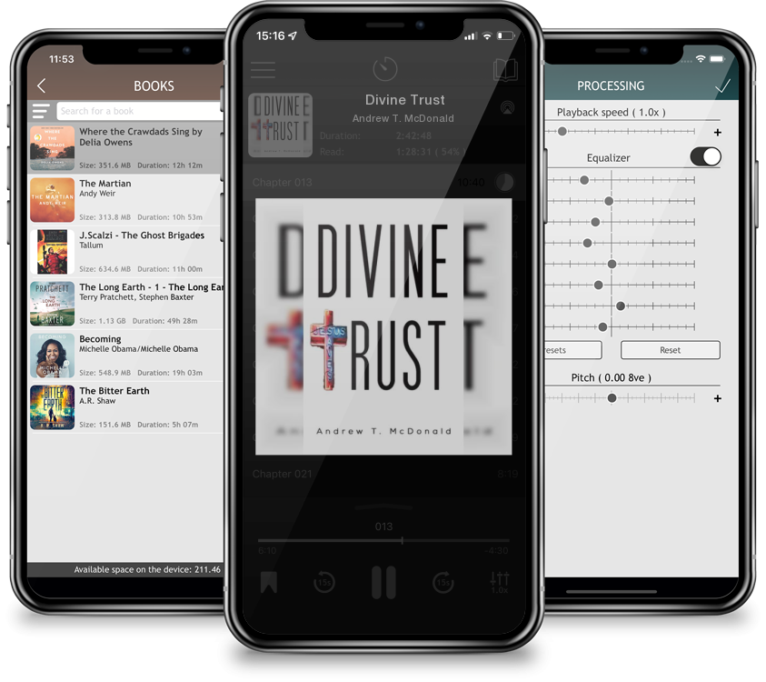 Audiobook Divine Trust by Andrew T. McDonald