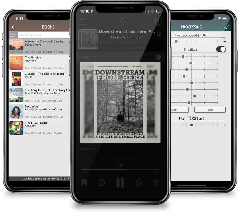 Audiobook Downstream from Here: A Big Life in a Small Place by Charles R. Eisendrath