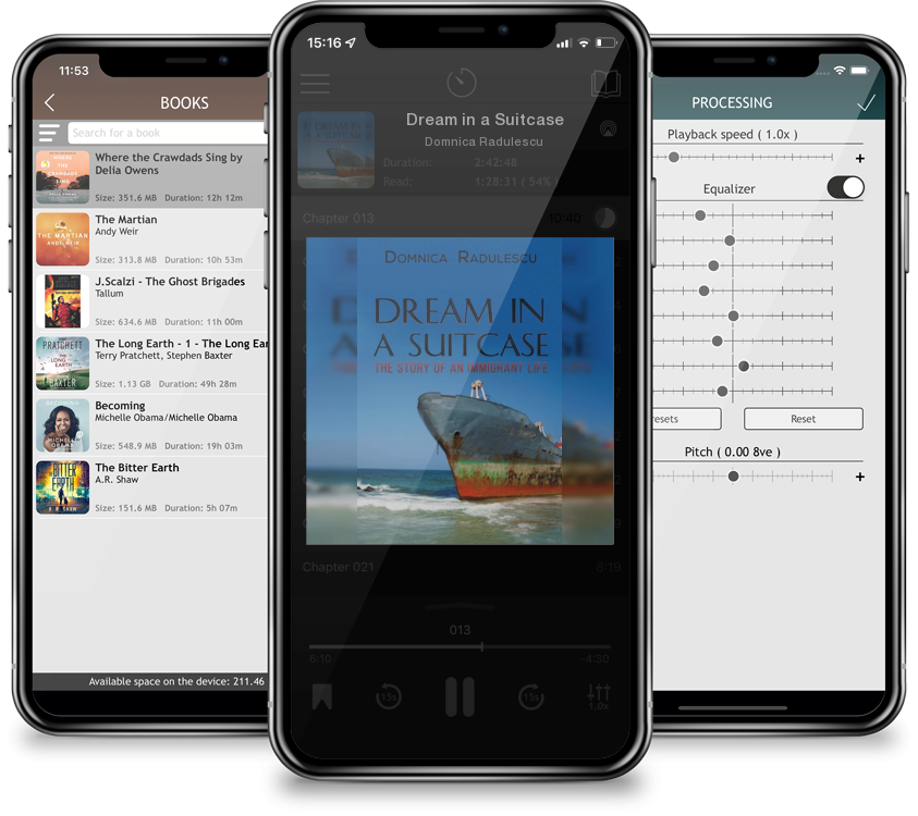 Audiobook Dream in a Suitcase by Domnica Radulescu