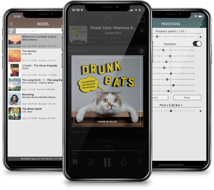 Audiobook Drunk Cats: Hilarious Snaps of Wasted Cats by Charlie Ellis